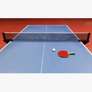 TENNIS DE TABLE